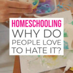Homeschooling Why do people love to hate it