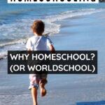 Why homeschool or worldschool
