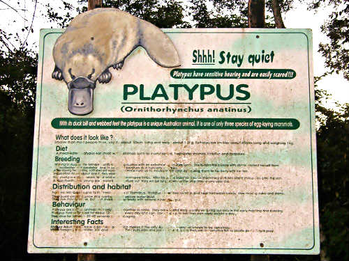 platypus sign