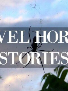 Travel Horror Stories Spider