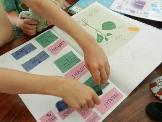 science scrap book for homeschoolers
