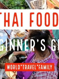 Thai Food a beginner's guide Cooking