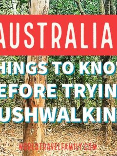 bushwalking in australia