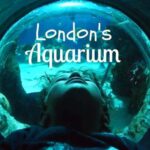 London aquarium review