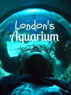 London aquarium review