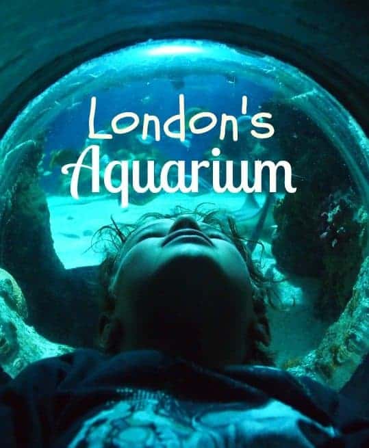 London Aquarium review. Sea Life London Family Travel BlogLondon aquarium review World Travel Family