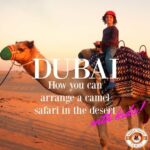 Dubai Camel Safari with dinner, camp and optional 4x4 and dune surfing