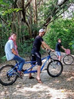 Family biking hiring or renting bikes and a tandem