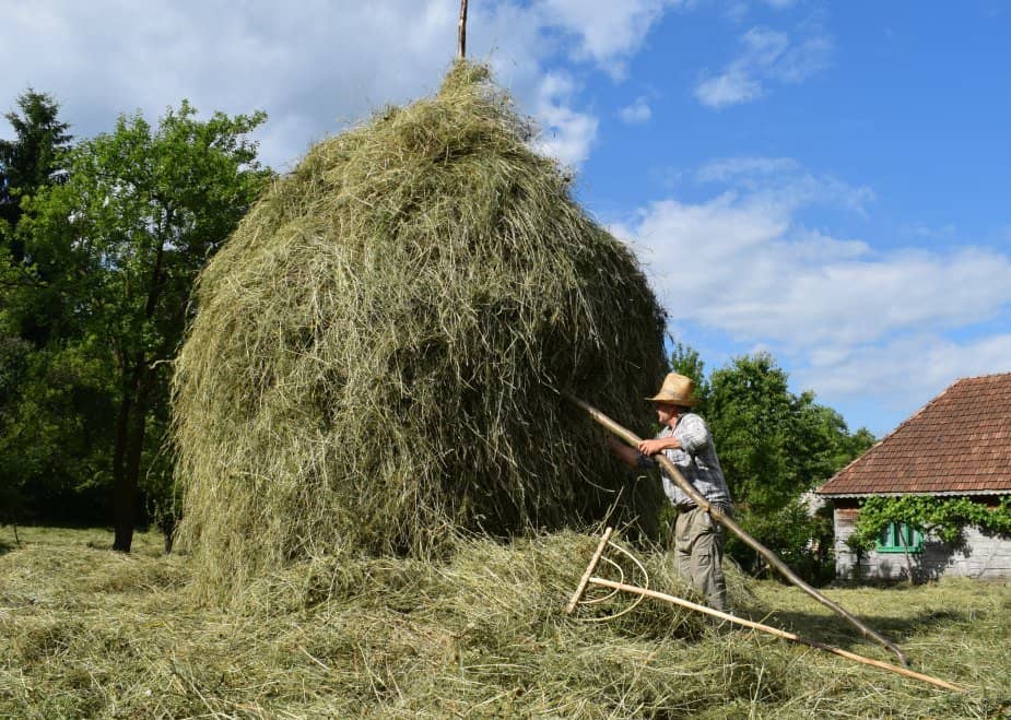 making a haystack in romania