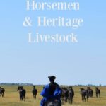 Hungary's Horsemen and Heritage Livestock