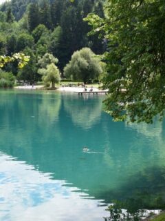 clean water lake bled slovenia