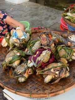 Hoi An Fish Market sorting crabs ( Central Market)