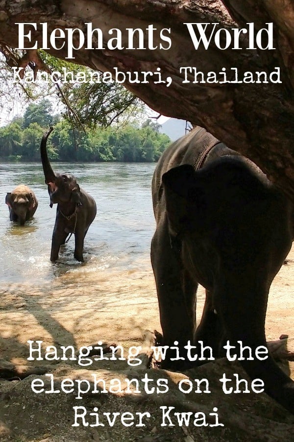 Elephants World Kanchanaburi Thailand Elephant Park River Kwai