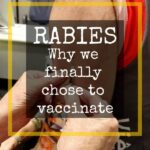 Rabies should we vaccinate or not for travel