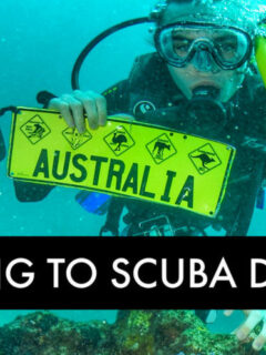 Learning to Scuba Dive Divers Den