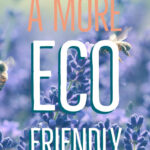 how to be a more eco friendly traveler
