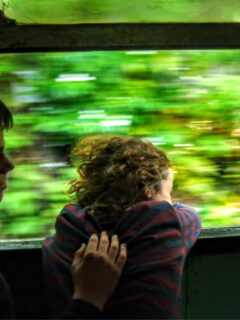 kids enjoying train ride Train from Colombo to Galle Sri Lanka