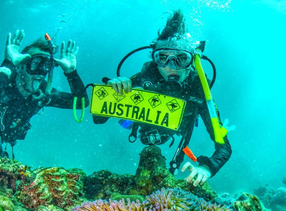how expensive is a gap year scuba diving