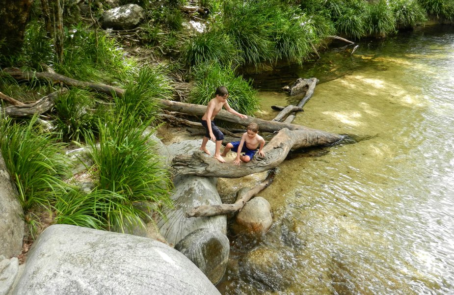 kids playing in a rainforest stream at mossman gorge