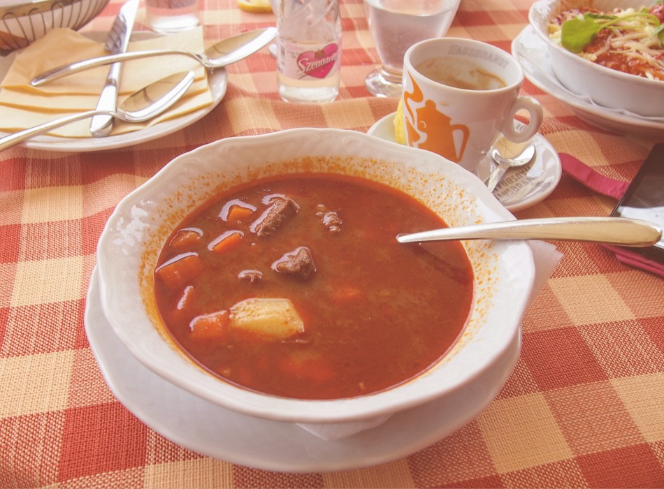 Hungarian food goulash soup