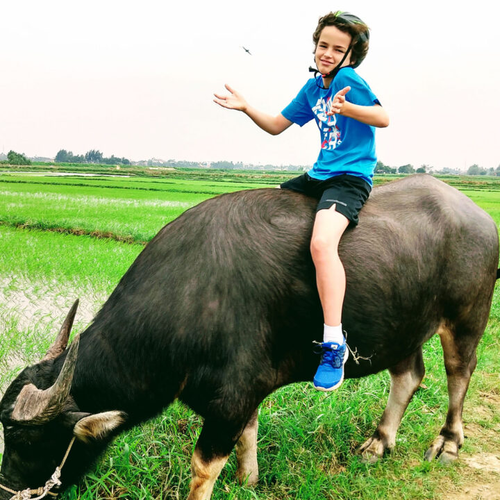 vietnam for kids child on water buffalo