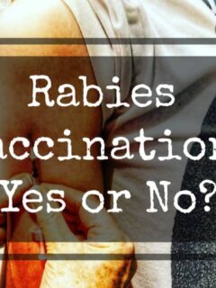 Are rabies vaccinations necessary for travel