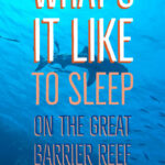 What's it like to sleep on the great barrier reef cairns liveaboard